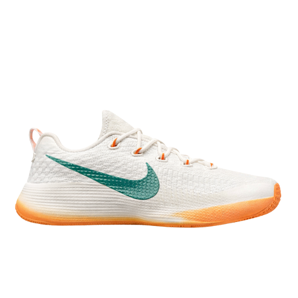 Nike Lebron TR1 Honors Famu TOP BATCH UA